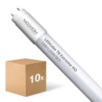 Multipack 10x Noxion Tubo LED T8 Avant Extreme (EM/Mains) High Output 13W 2100lm - 865 Luce Del Giorno | 120cm - Sostitutiva 36W