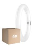 Multipack 4x Osram Tubo LED T9 Circolare (EM/Mains) 11W 1320lm - 840 Bianco Freddo | Sostitutiva 22W