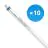 Multipack 10x Philips Tubo LED T5 MASTER (HF) High Efficiency 16.5W 2300lm - 830 Luce Calda | 115cm - Sostitutiva 28W