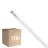 Multipack 10x Philips Master Tubo LED T8 (EM/Mains) High Output T8 7.6W 1150lm - 865 Luce Del Giorno | 60cm - Sostitutiva 18W