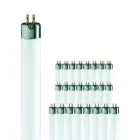 Multipack 25x Philips T5 Short 8W - 640 Bianco Freddo | 29cm