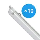 Multipack 10x Philips Stagna LED CoreLine WT120C G2 42.9W 6000lm - 840 Bianco Freddo | 150cm 