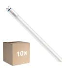 Multipack 10x Philips Master Tubo LED T8 (EM/Mains) High Output T8 7.6W 1150lm - 840 Bianco Freddo | 60cm - Sostitutiva 18W