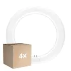 Multipack 4x Ledvance Tubo LED T9 Value Circolare (EM/Mains) 11W 1320lm - 840 Bianco Freddo | Sostitutiva 22W